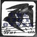 Swallows
