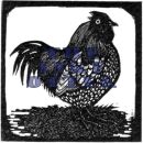 Small Rooster