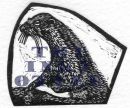 Otter 1