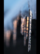 Icicles