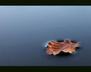 Stillness..... after the wind