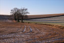 Winter fields