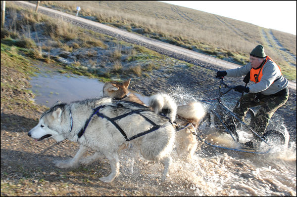 AMWA Salisbury Plain Trek. 2nd Jan 2010.
