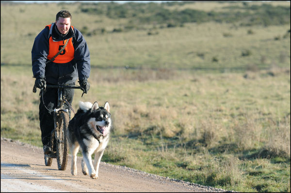 AMWA Salisbury Plain Trek. 2nd Jan 2010.