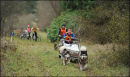 AMWA Salisbury Plain Trek, Wilts. 27th & 28th Dec 2011.