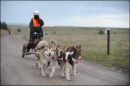 AMWA Salisbury Plain Trek, Wilts. 27th & 28th Dec 2011.