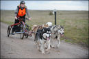 AMWA Salisbury Plain Trek, Wilts. 27th & 28th Dec 2011.