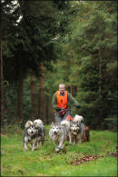 AMWA Salisbury Plain Trek, Wilts. 27th & 28th Dec 2011.