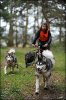 AMWA Salisbury Plain Trek, Wilts. 27th & 28th Dec 2011.