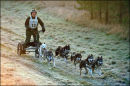 BSHRA Kings Forest East, 17th Dec 2011.