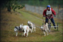 BSHRA Kings Forest East, 17th Dec 2011.