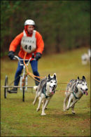 BSHRA Kings Forest East, 17th Dec 2011.