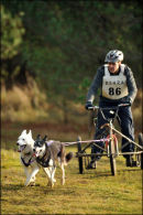BSHRA Kings Forest East, 17th Dec 2011.