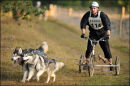 BSHRA Kings Forest East, 17th Dec 2011.