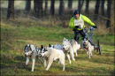 BSHRA, Kings Forest West. 5th & 6th Mar 2011.