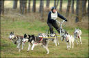 BSHRA, Kings Forest West. 5th & 6th Mar 2011.
