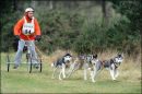 BSHRA, Kings Forest West. 5th & 6th Mar 2011.