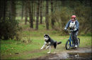 BSHRA, Kings Forest West. 5th & 6th Mar 2011.