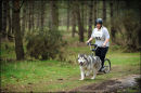 BSHRA, Kings Forest West. 5th & 6th Mar 2011.