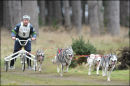 BSHRA, Kings Forest West. 5th & 6th Mar 2011.
