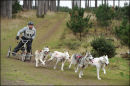 BSHRA, Kings Forest West. 5th & 6th Mar 2011.