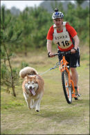 BSHRA, Kings Forest West. 5th & 6th Mar 2011.