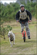 BSHRA, Kings Forest West. 5th & 6th Mar 2011.