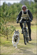 BSHRA, Kings Forest West. 5th & 6th Mar 2011.