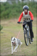 BSHRA, Kings Forest West. 5th & 6th Mar 2011.