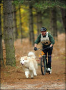 BSHRA, Rendlesham Forest. 20th Nov 2010.