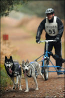 BSHRA, Rendlesham Forest. 20th Nov 2010.