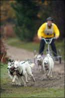 BSHRA, Rendlesham Forest. 20th Nov 2010.