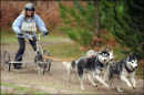 BSHRA, Rendlesham Forest. 20th Nov 2010.