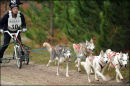 BSHRA, Rendlesham Forest. 20th Nov 2010.