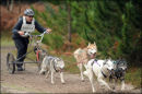 BSHRA, Rendlesham Forest. 20th Nov 2010.