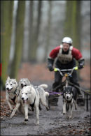 BSHRA, Sherwood Forest. 19th Feb 2011.