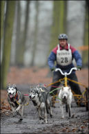 BSHRA, Sherwood Forest. 19th Feb 2011.
