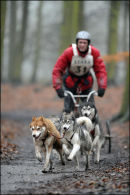 BSHRA, Sherwood Forest. 19th Feb 2011.