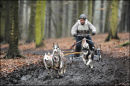 BSHRA, Sherwood Forest. 19th Feb 2011.