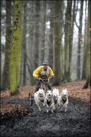 BSHRA, Sherwood Forest. 19th Feb 2011.