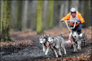 BSHRA, Sherwood Forest. 19th Feb 2011.