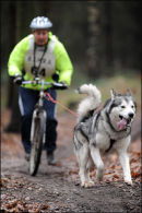 BSHRA, Sherwood Forest. 19th Feb 2011.