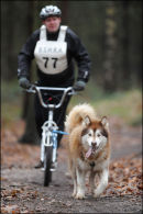 BSHRA, Sherwood Forest. 19th Feb 2011.