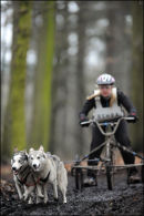 BSHRA, Sherwood Forest. 19th Feb 2011.