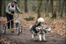 BSHRA, Sherwood Forest. 19th Feb 2011.