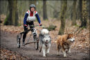 BSHRA, Sherwood Forest. 19th Feb 2011.
