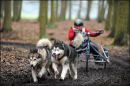 BSHRA, Sherwood Forest. 19th Feb 2011.