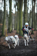 BSHRA Sherwood Forest, 21st Jan 2012.