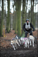 BSHRA Sherwood Forest, 21st Jan 2012.