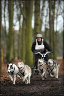 BSHRA Sherwood Forest, 21st Jan 2012.